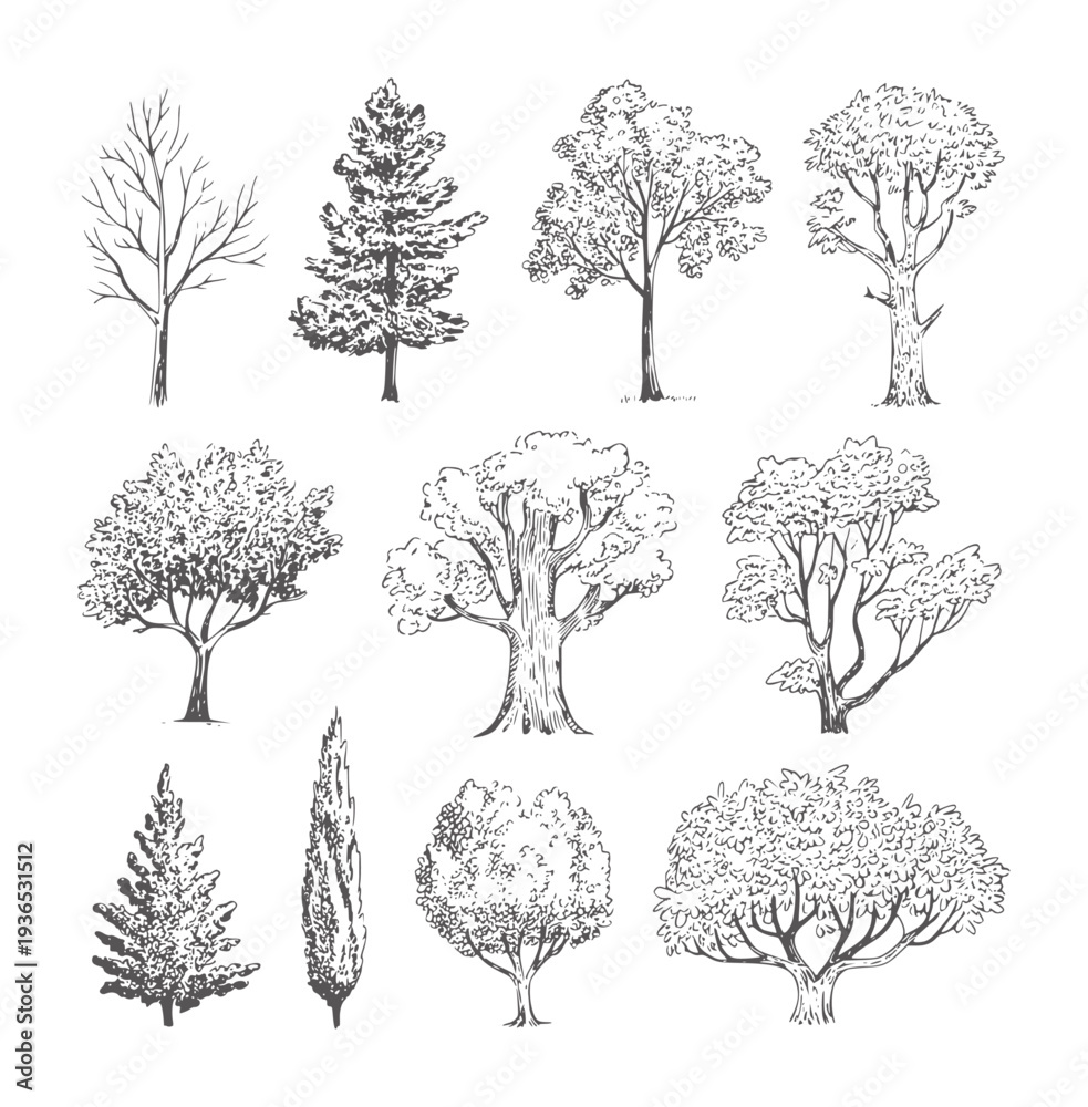 Fototapeta premium Black and white line of various trees in different shapes and sizes nature botanical