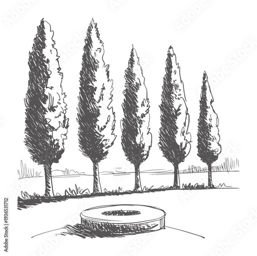 Black and white of five tall cypress trees and a circular
