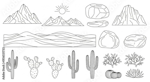 Desert landscape elements and plants illustration line art.