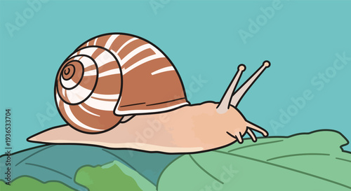 A snail is crawling along a green leaf in bright conditions. Its shell has a brown and white pattern. The sky is clear and blue above.