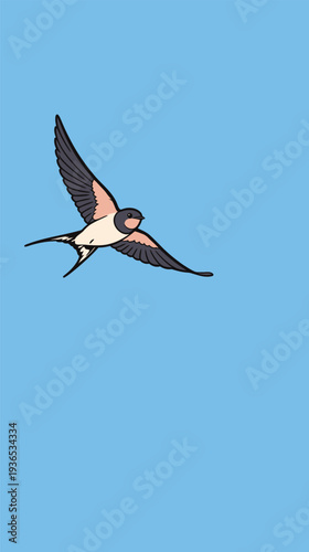 A swallow bird flies in a clear blue sky with its wings spread wide. It is daytime and the season is early spring.