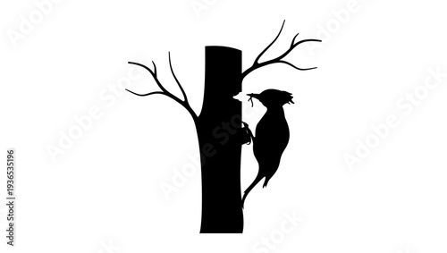 woodpecker symbol on a tree, black isolated silhouette