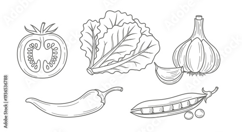 Assorted vegetables including tomato, lettuce, garlic, pepper, and peas in a simple line drawing style