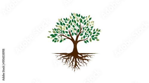 Vibrant Green Tree with Extensive Brown Roots and Foliage Illustration on White Background, Symbolizing Nature, Growth, and Stability.