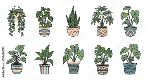 Diverse set of potted indoor plants with various leaf shapes and decorated pots for home garden and interior design themes.