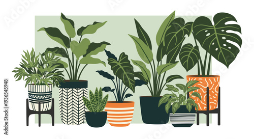 Collection of various green house plants in decorative pots with geometric patterns is arranged for an indoor garden and home decor scene.