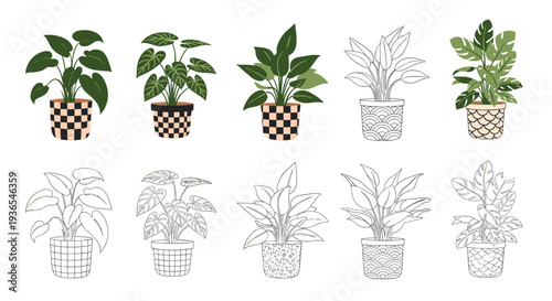 Collection of indoor plant icons in decorative pots featuring color and line art styles is displayed for gardening and home decor projects.