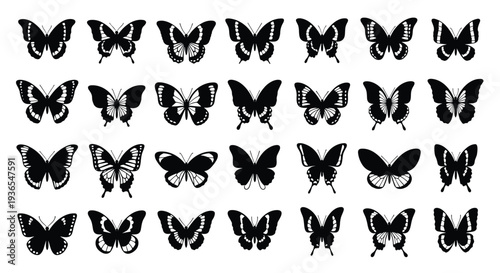 Comprehensive collection of butterfly silhouettes in black and white showing diverse wing patterns and various species for artistic design.