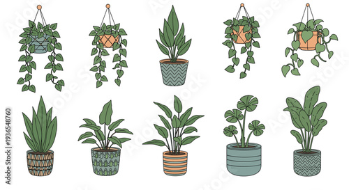 Assorted indoor house plants in various decorative pots including hanging baskets and floor plants for home decor illustration.