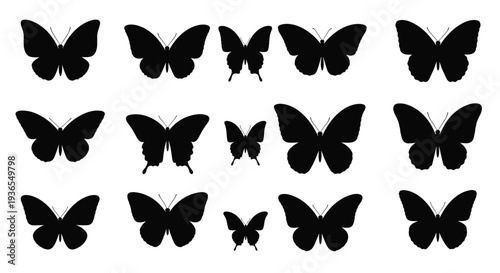 Collection of fifteen black butterfly silhouettes in various sizes and wing shapes isolated on a white background.