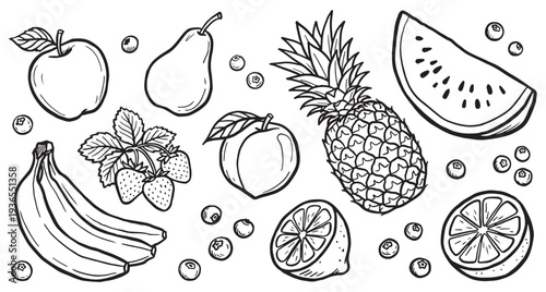 Hand Drawn Fruit Collection Vector Illustration Set