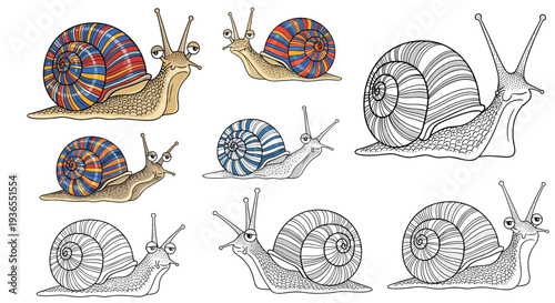 Detailed set of snail illustrations showing creatures with different colorful striped shell patterns and expressive cartoon faces.