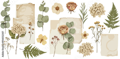 Botanical elements with vintage dried flowers aged paper and eucalyptus leaves, rustic and elegant design