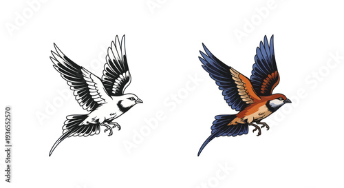 Sparrow in Flight, Black and White and Color Illustration