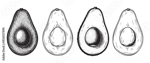 Collection of hand drawn avocado halves showcasing various engraving styles perfect for food packaging, healthy recipe blogs, organic product labels, and culinary graphic applications.