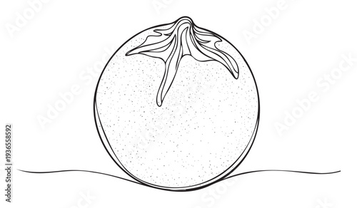 Simple continuous line sketch depicting a ripe garden tomato with subtle speckle texture, suitable for culinary themes, natural food packaging, and healthy lifestyle presentations.