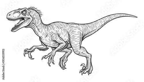 Fierce raptor dinosaur sketch perfect for educational books, documentary graphics, or prehistoric themed event invitations and merchandise applications
