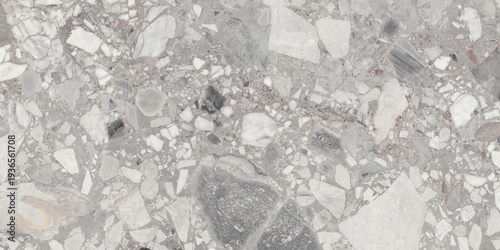 Grey Terrazzo Stone Texture with Natural Marble Fragments