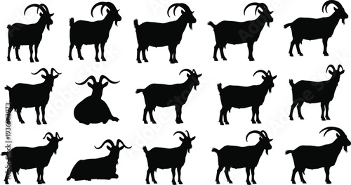 Vector silhouette collection of domestic mountain goats featuring various farm animal poses including standing alert grazing and resting with curved horns isolated on white background
