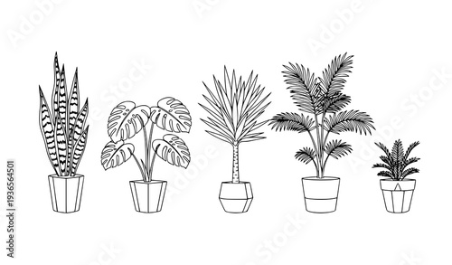 Modern black and white potted houseplant line art set with snake plant monstera palm and yucca minimalist vector illustration
