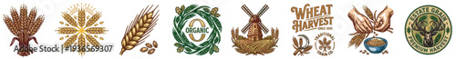 colorful wheat and grain vector icon set, agriculture harvest organic farm cereal barley rye badges and windmill emblems isolated on transparent background