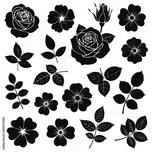 Black and white floral pattern with roses leaves and butterflies in vintage seamless vector design
