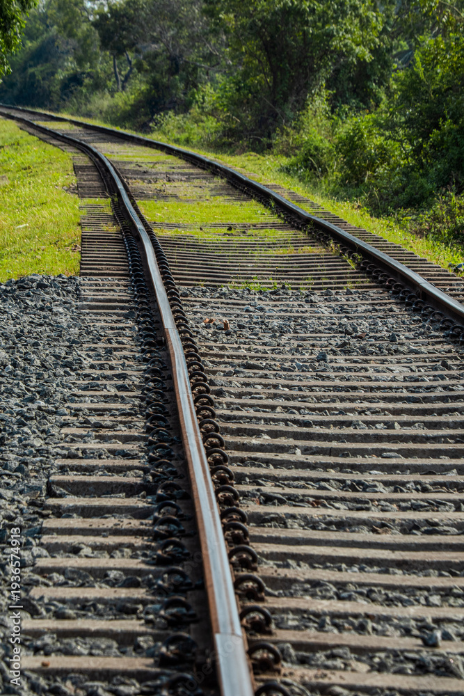 Fototapeta premium railroad tracks in the forest