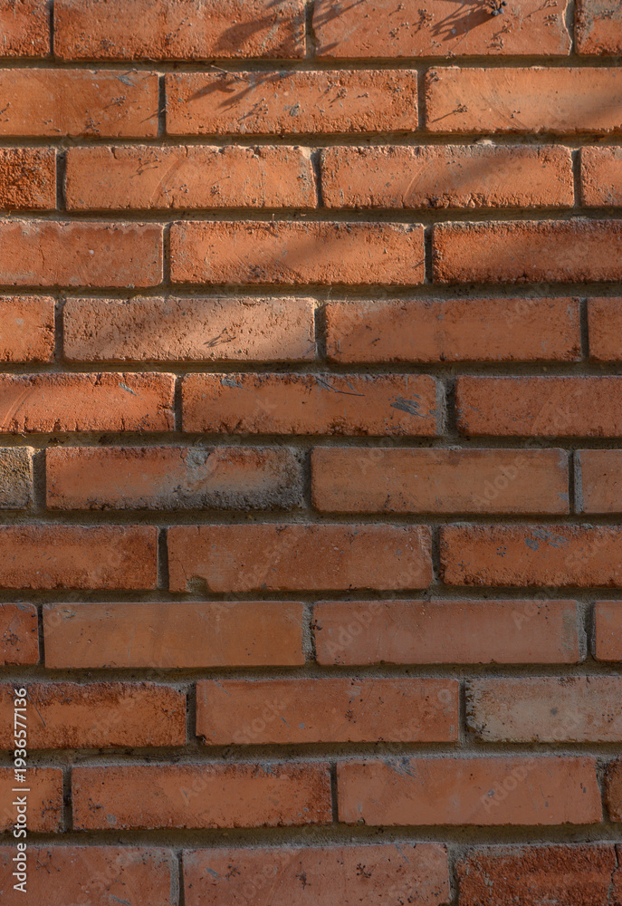 Fototapeta premium Red Brick Wall with Branch Shadows