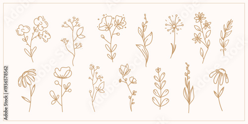 Minimal botanical wildflower line art set with elegant hand drawn floral elements and simple outline flowers for branding, logos, packaging invitations, and decorative design. Vector illustration