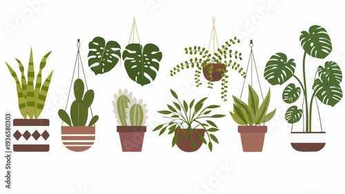 A collection of potted and hanging indoor plants in a flat style