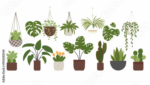 A collection of diverse potted and hanging houseplants in a flat style