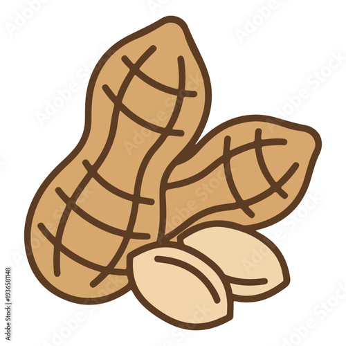 Cartoon illustration of two peanuts in shell with two kernels