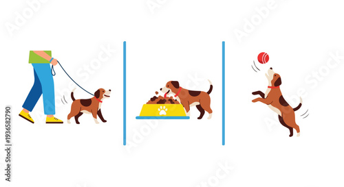 Flat vector illustration of happy pet daily routine icons including dog walking, food bowl, and ball, minimal style with vibrant colors, white background.