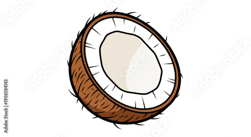 Half Cut Fresh Coconut Fruit.