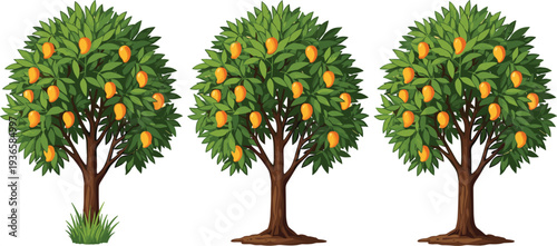 mango fruit trees set isolated on white background, tropical green foliage illustration, ripe mango harvest plant collection, summer orchard nature design