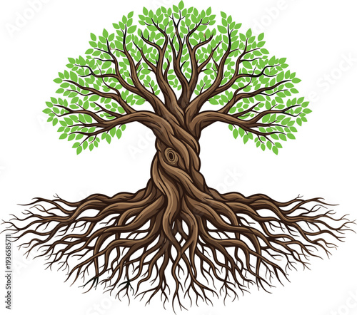 Tree with visible roots illustration, strong life tree concept, detailed roots and branches nature design, ecological growth symbol vector artwork