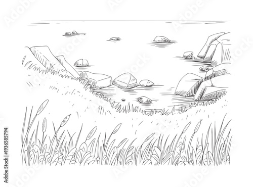 Black and white of cattails and rocks by the water reeds grass