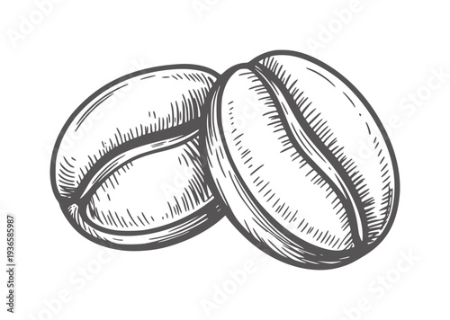 Black and white of two coffee beans with hatching