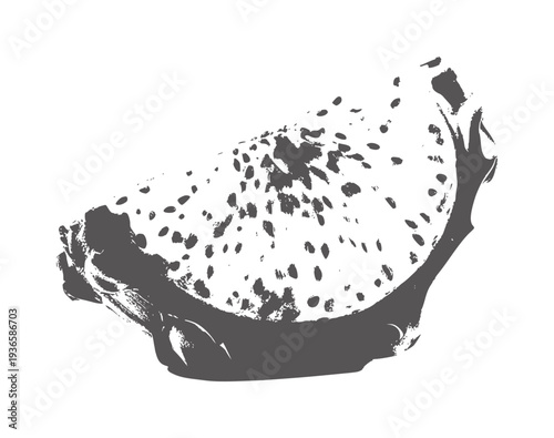 Slice of dragon fruit with dark seeds and rind pitaya food