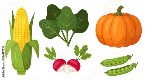 Assorted Vegetables and Fruits Displayed Together in a Vibrant Collection