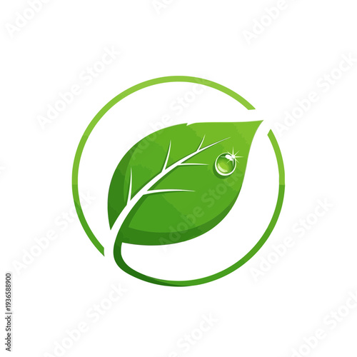 Eco-friendly green leaf logo with water droplet inside a circle, signifying sustainability and purity