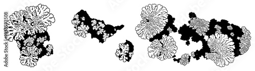 Detailed monochrome illustration of abstract organic coral shapes and vintage botanical elements
