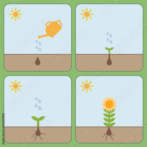 식목일 교육용: 해바라기 성장 과정 일러스트