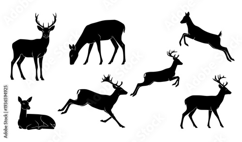 Diagonal black deer silhouette vector set with male, female, and roe deer illustrations
