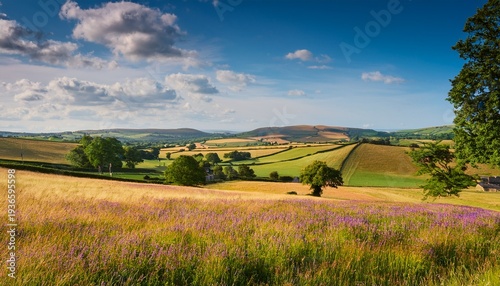 Summertime Landscape In The English Countryside