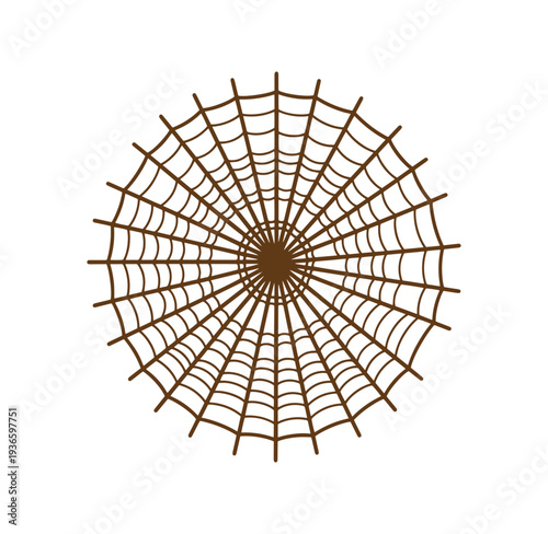 Brown spider web on white background for halloween or nature themes