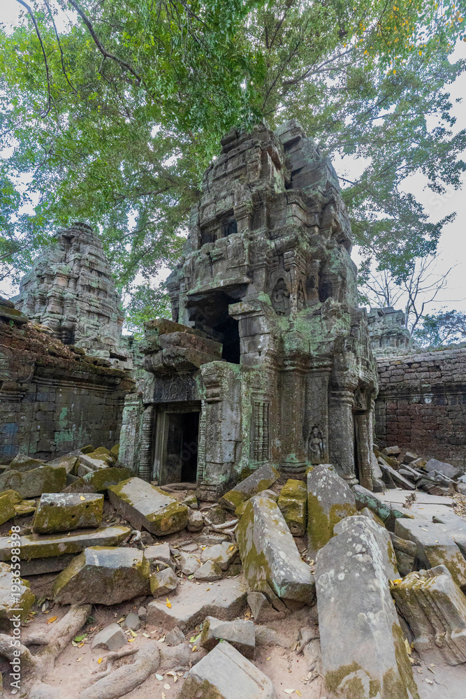 Fototapeta premium ta prohm temple cambodia
