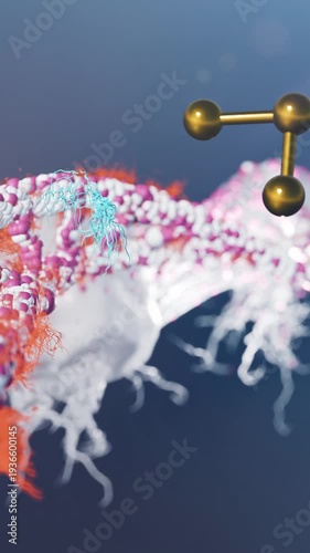 3D Scientific Visualization of Gold Nanoparticles Capturing Circulating Tumor DNA for Advanced Oncological Research