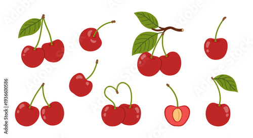 Cherry fruit set with leaves and stem. Sweet ripe berries collection. Garden juicy fresh fruits for jam, pie or coctail. Flat vector illustration.