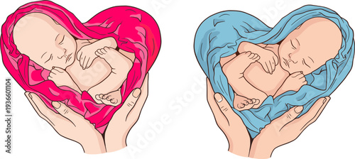 Newborn baby cocooned in pink fabric held by caring hands, vector style, copy space